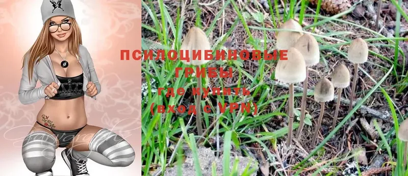 Псилоцибиновые грибы MAGIC MUSHROOMS  Малаховка 