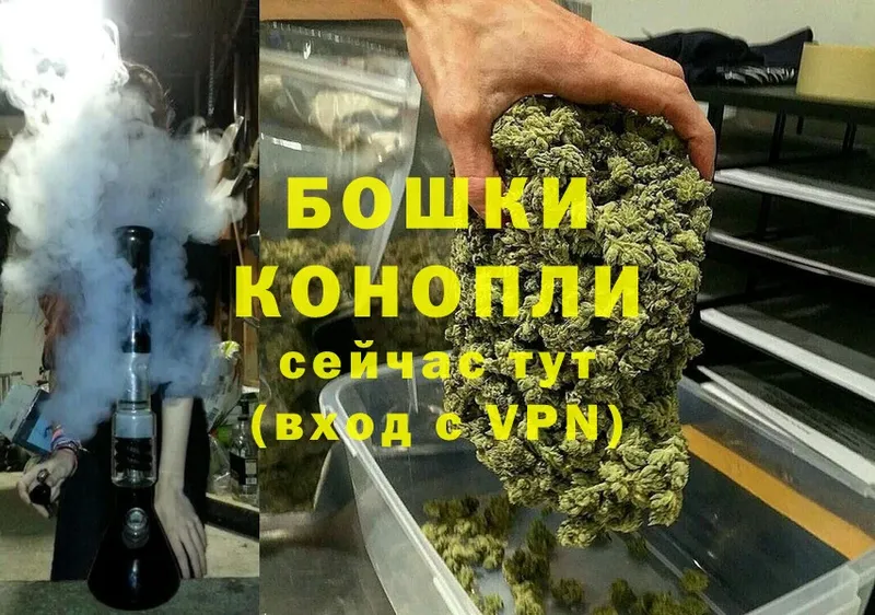 Конопля Bruce Banner  Малаховка 